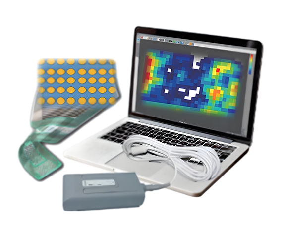 In-Situ Cell Swelling Force  Distribution Testing System